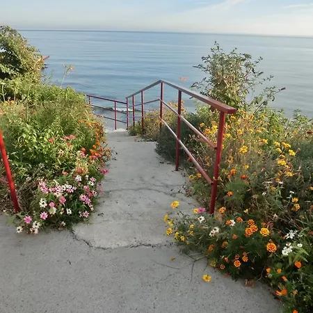 Panorama On Complex With Pools And Beach, Свети Влас